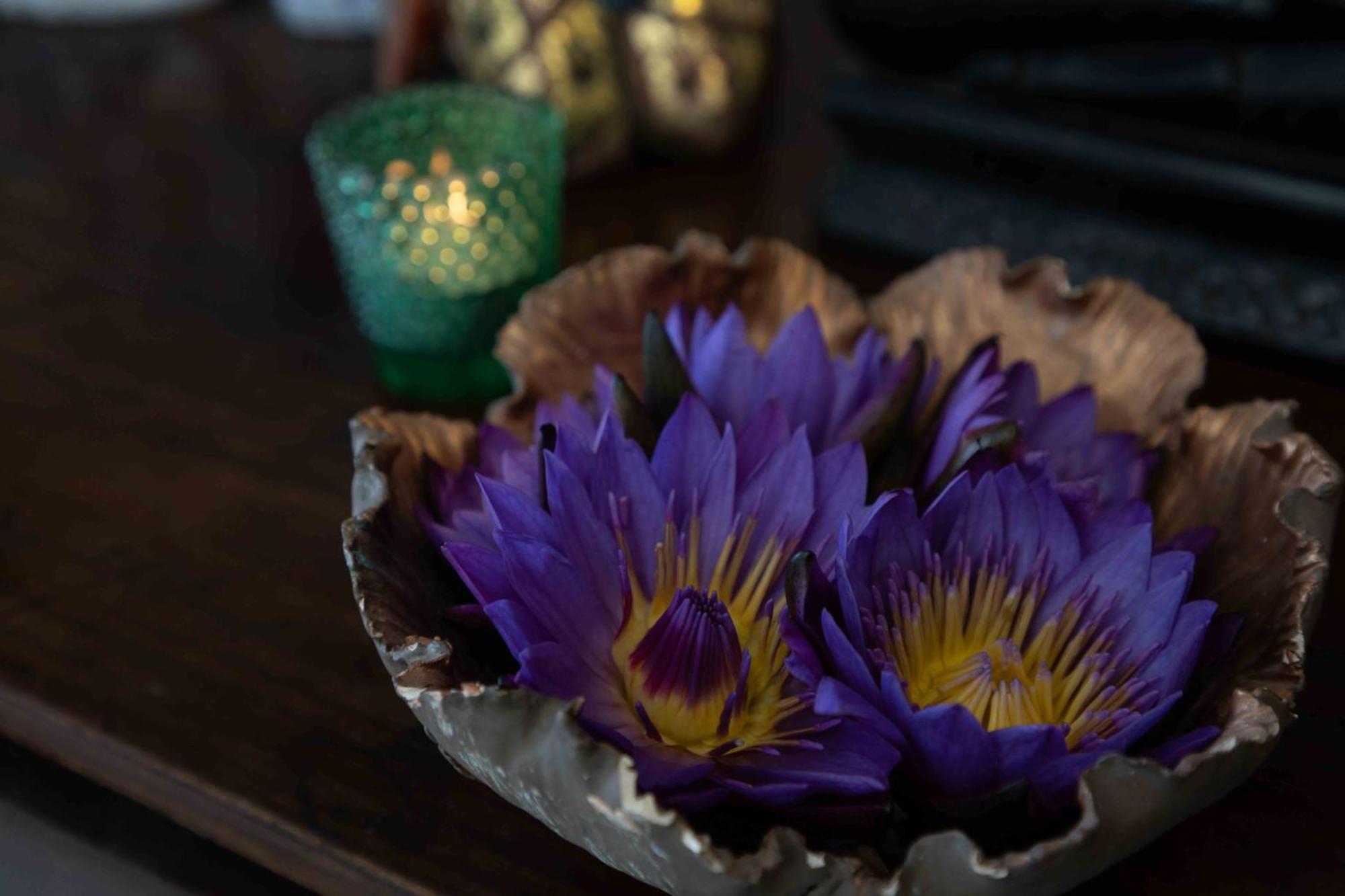 Lotus * Colombo