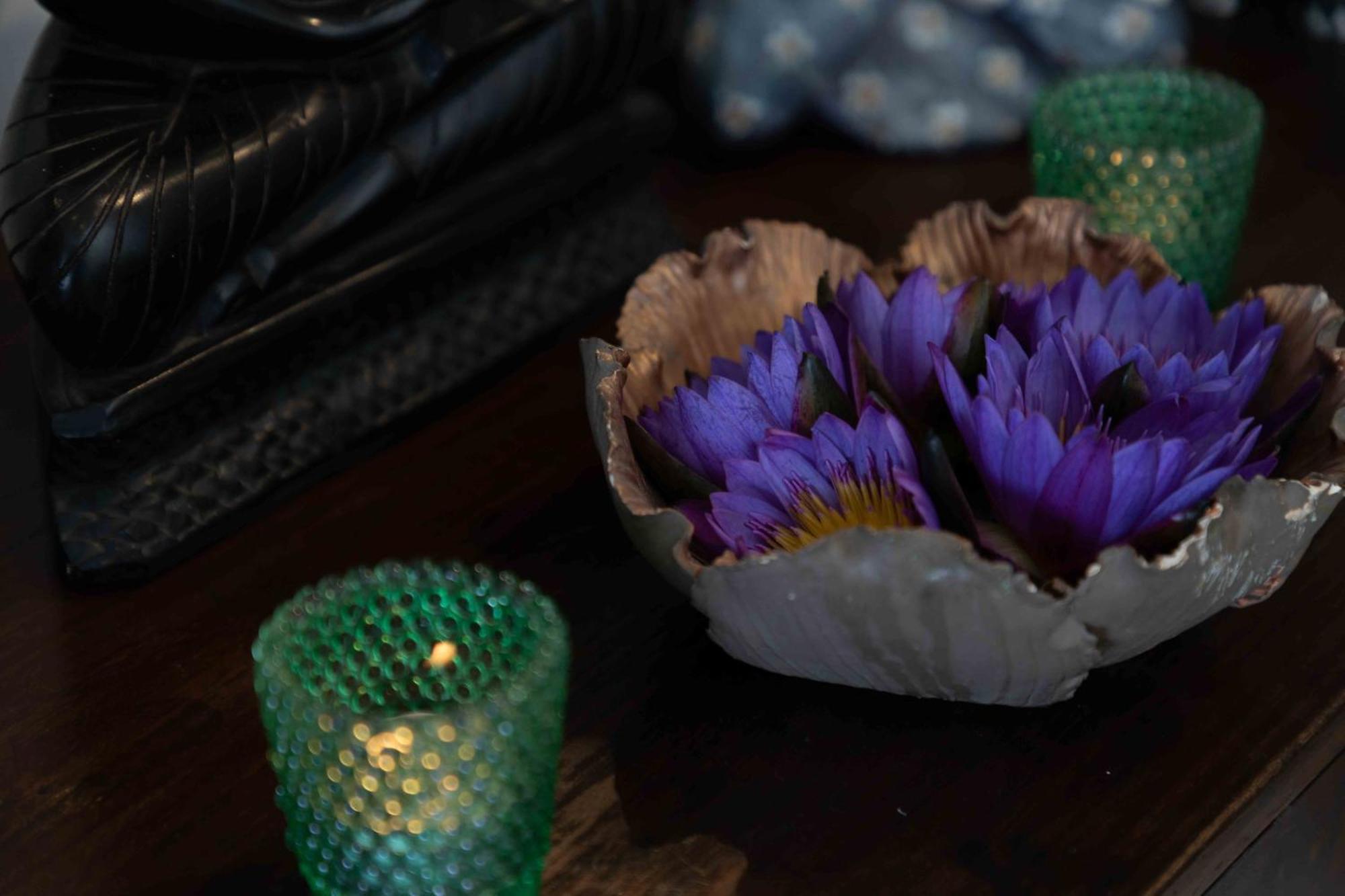 Bed & Breakfast Lotus