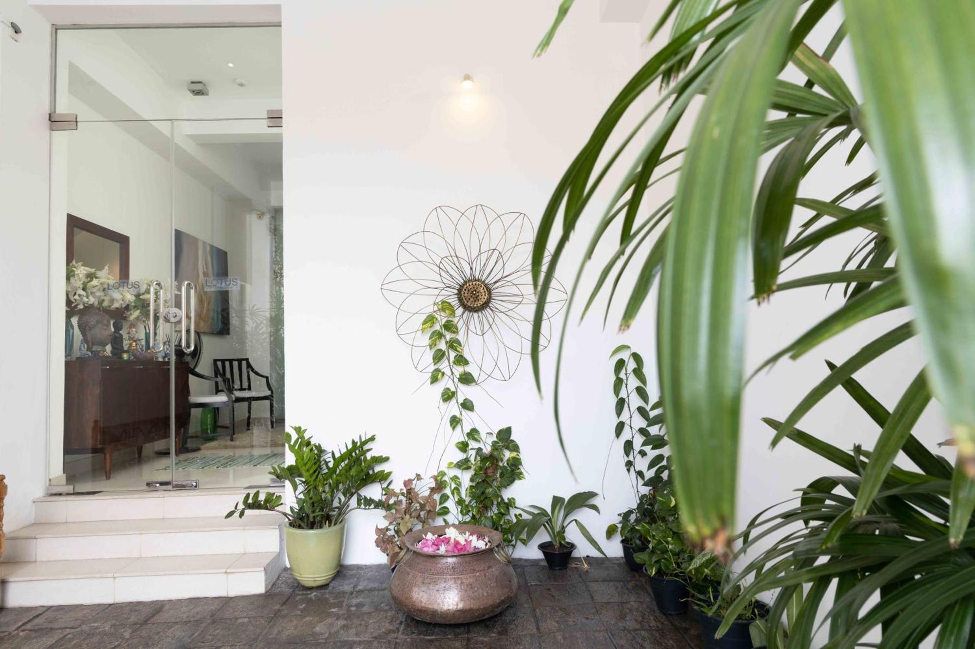 Lotus Bed & Breakfast